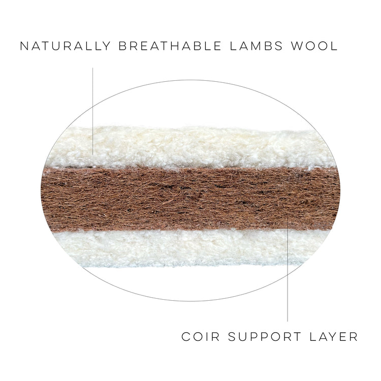The Natural Range